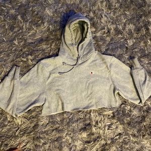 Cropped Champion Sweater